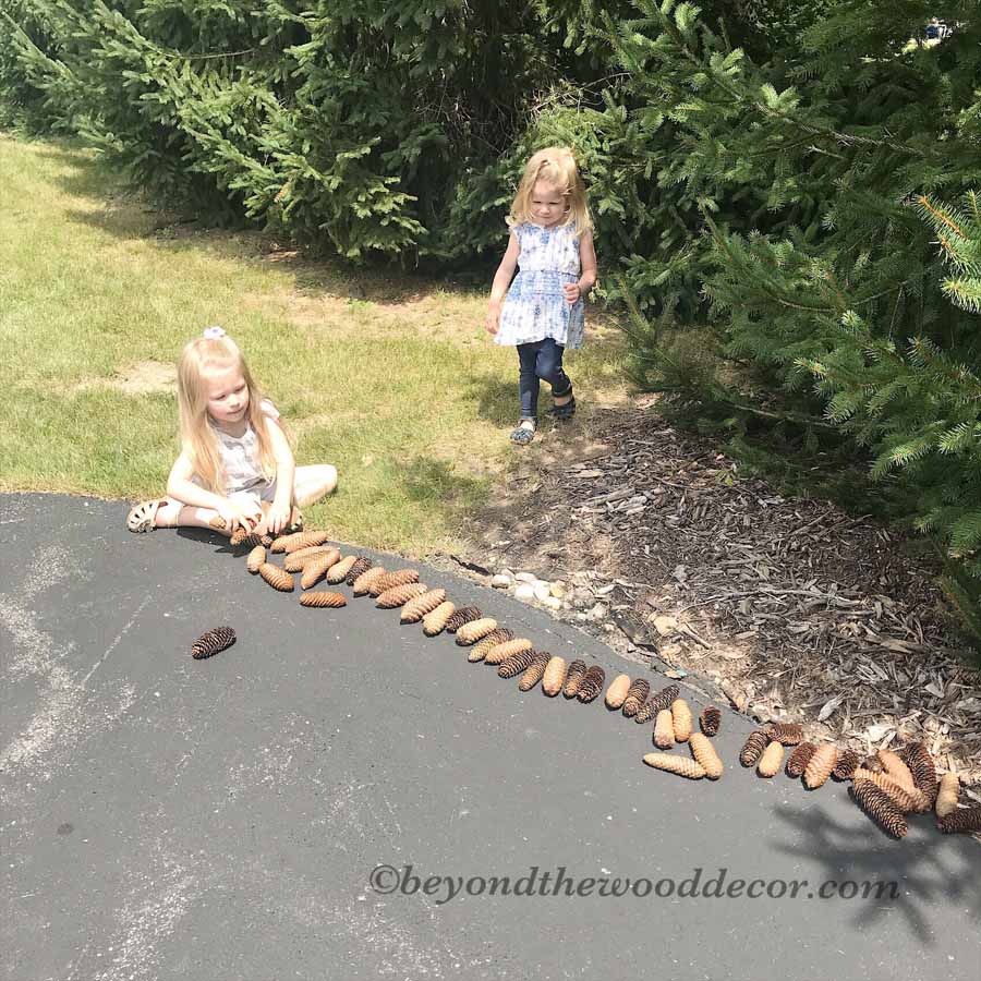 Beyond the Wood Decorating with Pine Cones