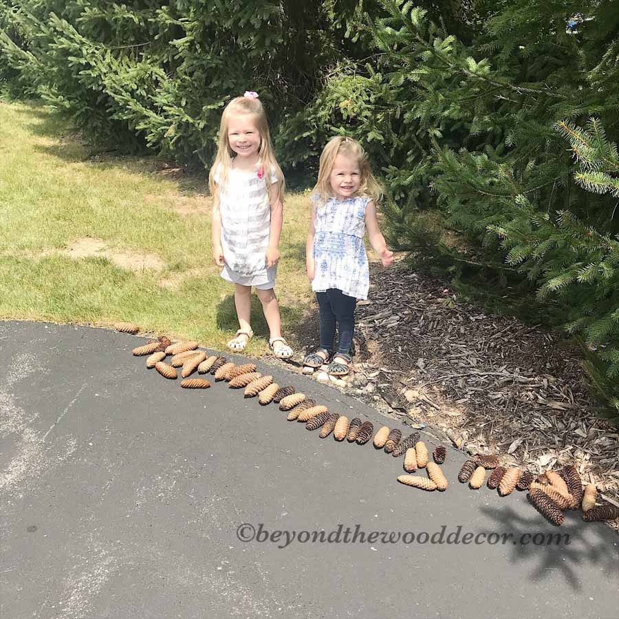 Beyond the Wood Decorating with Pine Cones