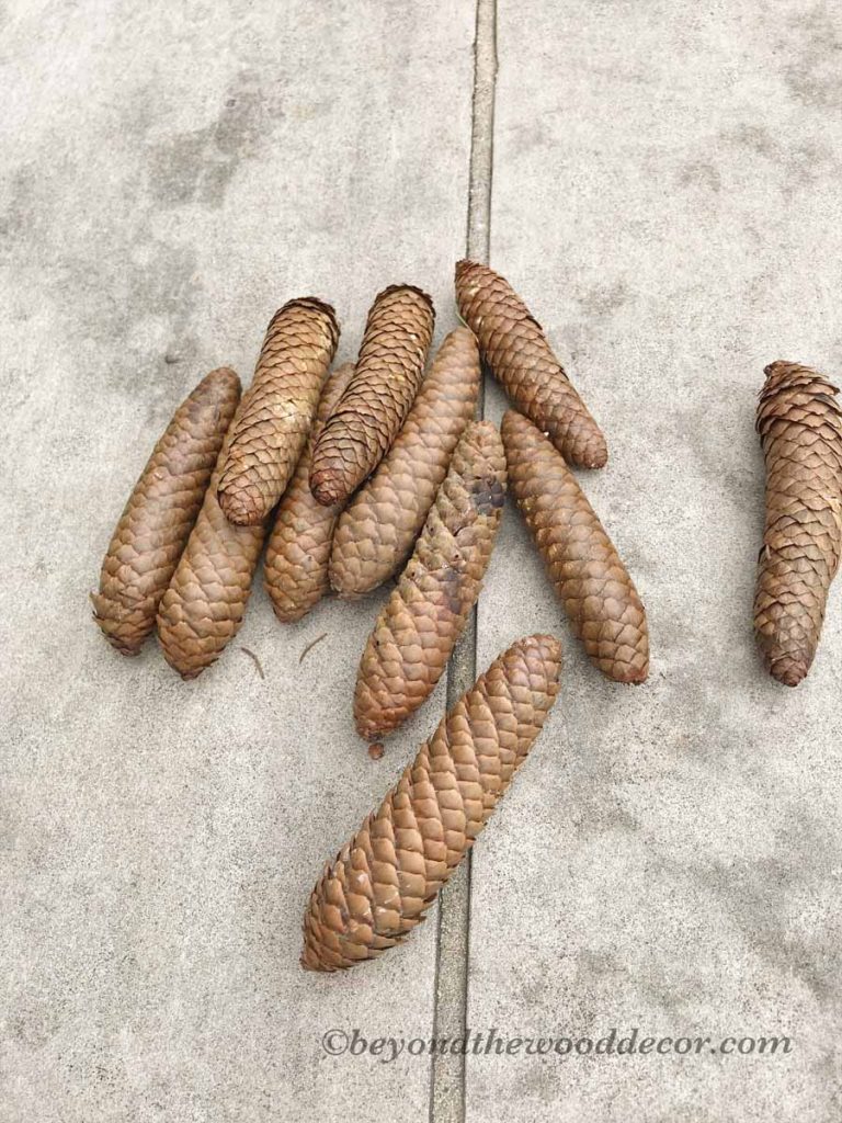 Beyond the Wood Decorating with Pine Cones